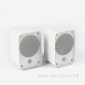 4" plastic desktop speaker box